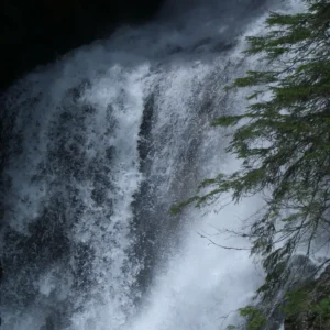 Ein kräftiger Wasserfall in einem üppigen Wald, der Stärke und ständige Erneuerung symbolisiert.
